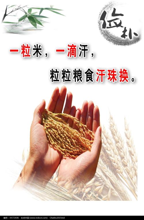 远程教育学历证书有用吗